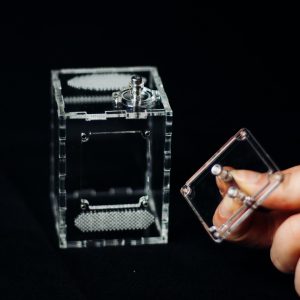 Terrarium dla skakuna 5x5x7 MAGNES